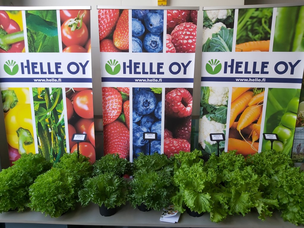 Read more about the article Tervetuloa uusille nettisivuillemme!