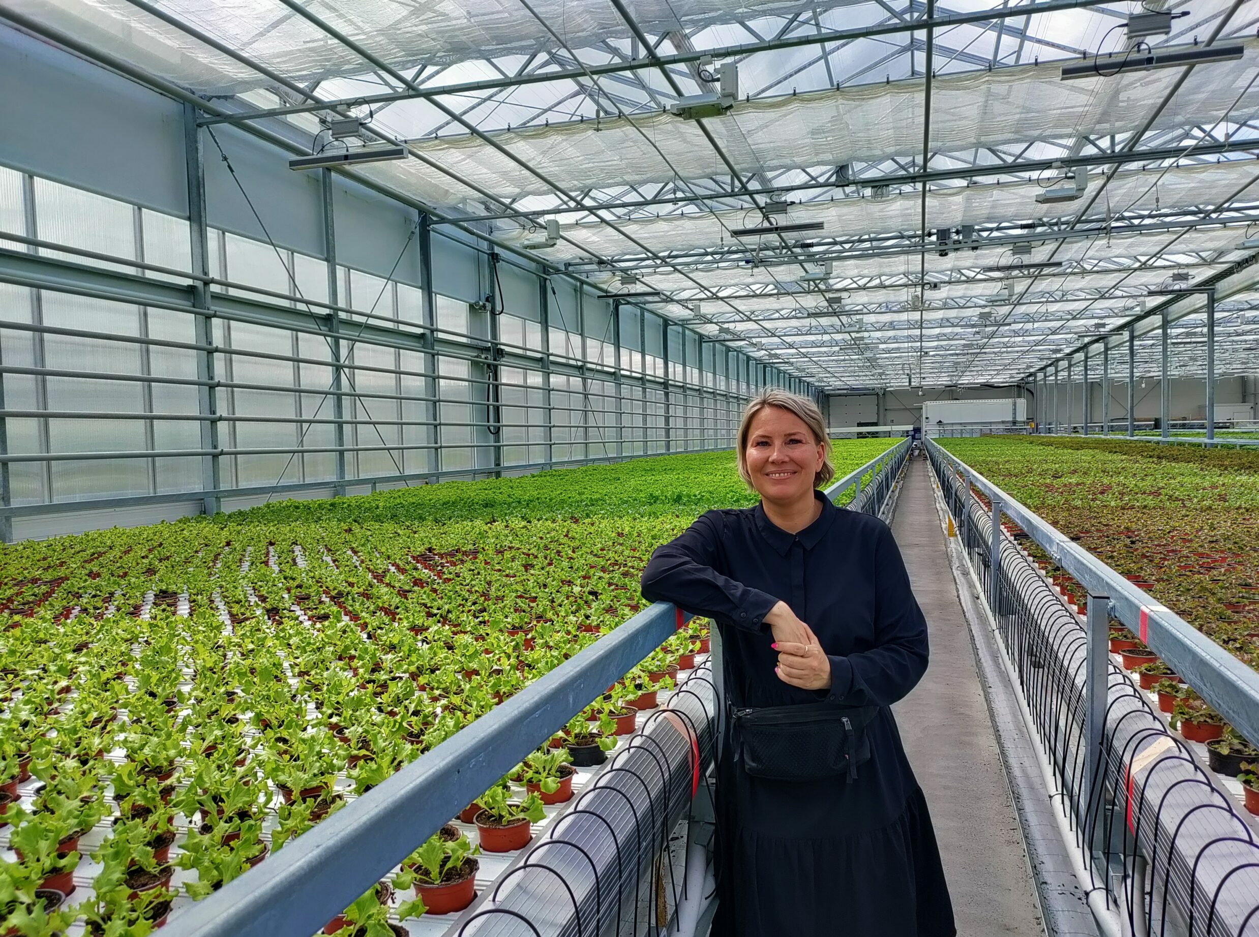 Read more about the article Onnistunut kasvihuoneprojekti avaimet käteen periaatteella – Kulmalan Puutarha