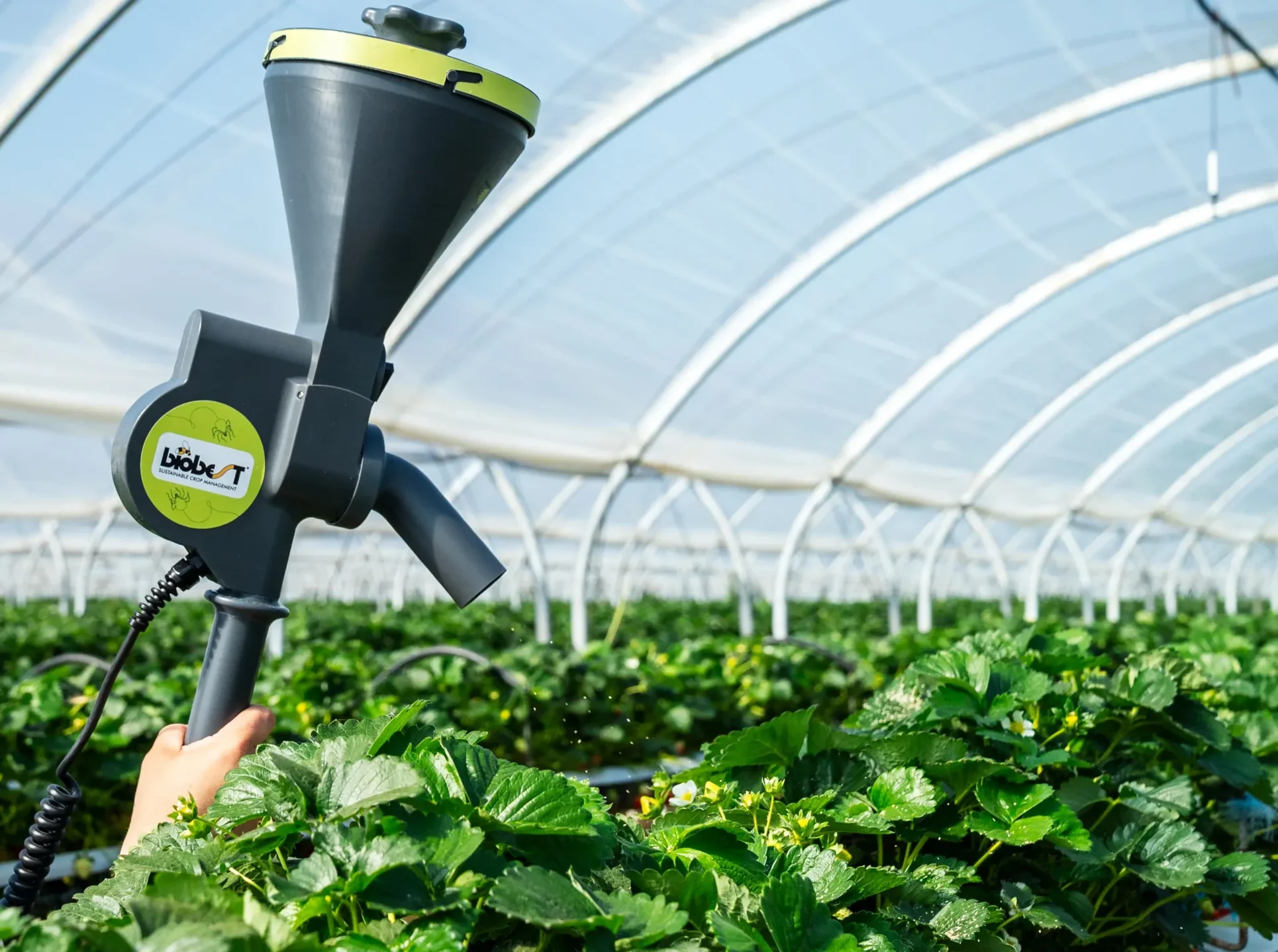 Read more about the article Hyötyeliöiden helppo levitys Entomatic™ Handheldillä